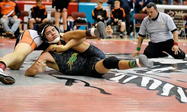 Newcomb senior bounces back, aims at state