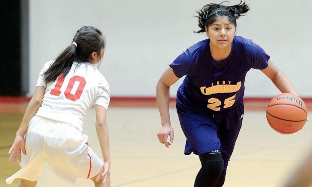 MV girls focus on state playoffs