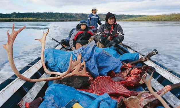 Diné join Gwich’in in fight against oil & gas in Arctic