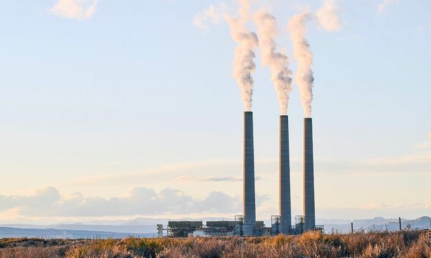 Environmental groups, NTUA urge Nabi to retire NGS
