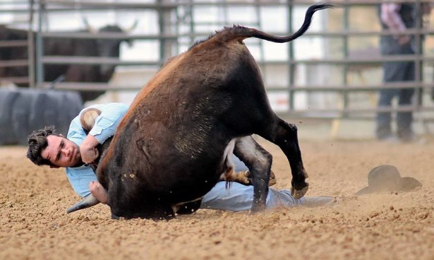 Bates wins average at Native Bulldoggers Jackpot