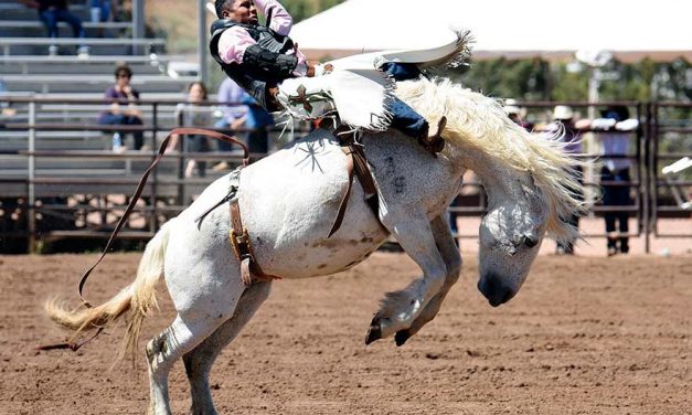 ‘An amazing feeling’:  3 Diné cowboys win Ariz. state high-school championships