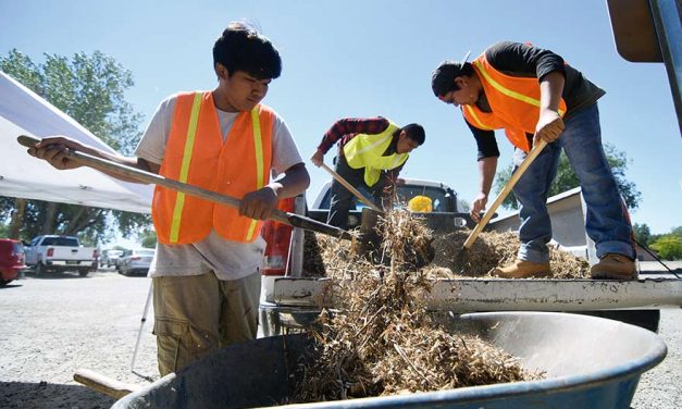 YCC workers serve community, learn new skills