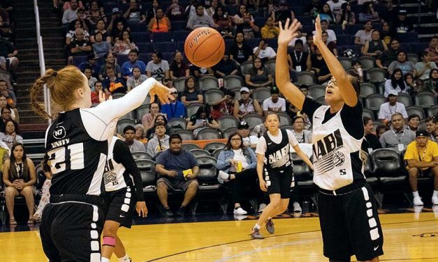NM Elite uses speed to win NABI title
