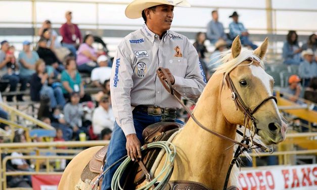 Free – except for parking – events at 4th expo, rodeo