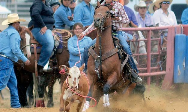 Back to the drawing board: Tohatchi barrel racer fine-tunes routine to score win