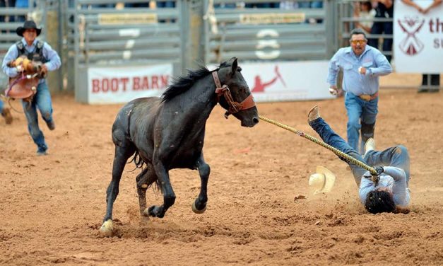 Novice NTUA team electrifies crowd at wild horse race