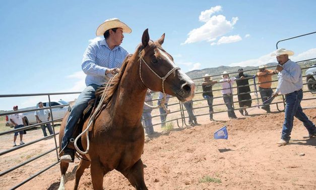 Horsemanship translates to healthy relationships