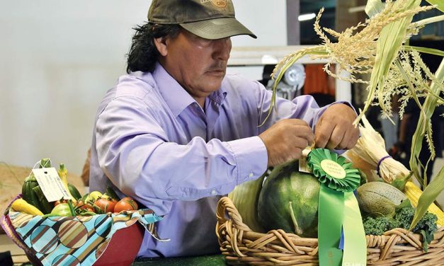 Community unites to rescue ailing Northern fair