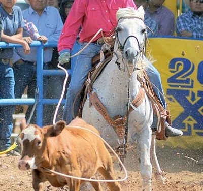 Stars align for Dahozy at 73rd Navajo Nation Fair