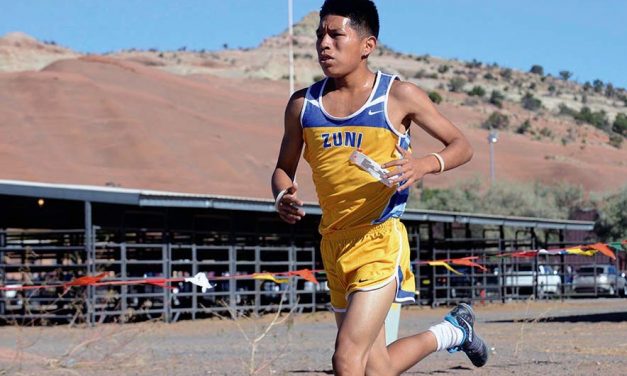 T-Birds continue domination at Curtis Williams meet