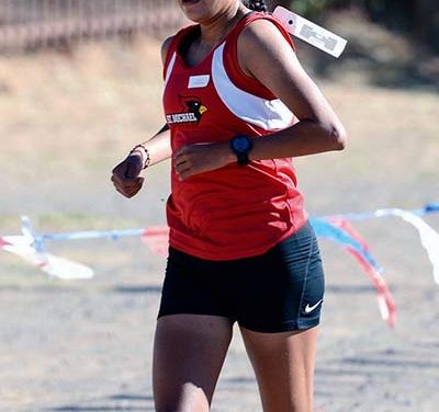 Cardinals continue drive toward title