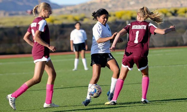 Lynx overcome injuries to get toehold in district