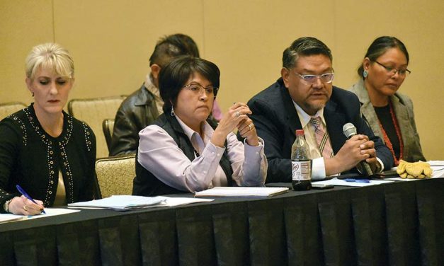 ‘Let’s put this in the hopper’:  NDC health care work session spurs more questions