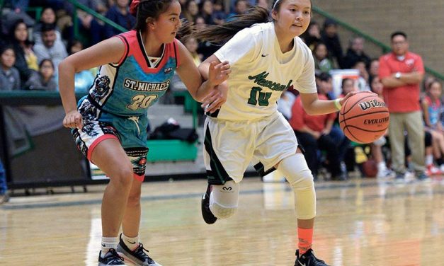 Skyhawks take revenge on Cardinals