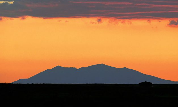 Protecting Ch’ilaghání :  Diné medicine group protests plan that may desecrate sacred plant
