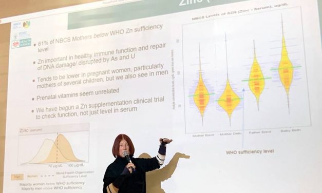 Common supplement being studied as uranium antidote