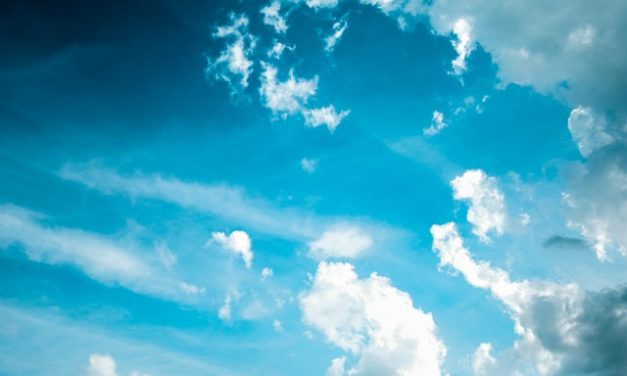 NTEC gets breath of air