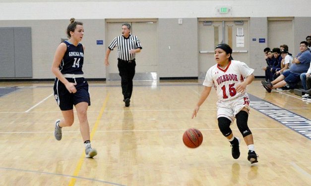Beep-beep! Roadrunners off to fast start in 3A play