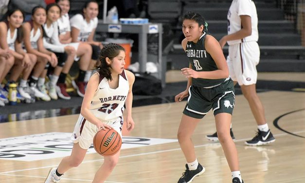 Northern teams well represented at quarterfinals