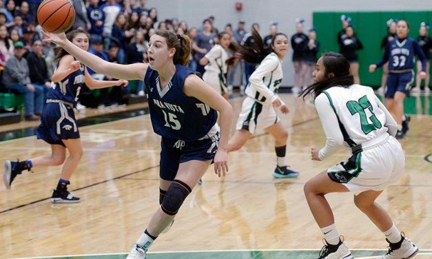 Stellar play by Piedra Vista girls defeats Farmington