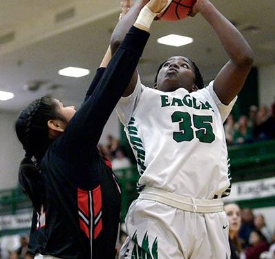 Coconino ends season with second-round loss