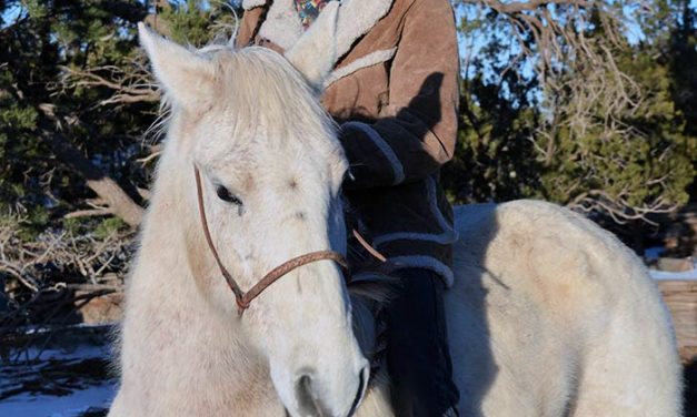 Surviving the coronavirus crisis: Diné perspectives