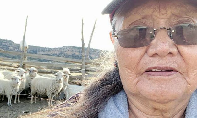 Surviving the Coronavirus Crisis: Diné Perspectives Part 3