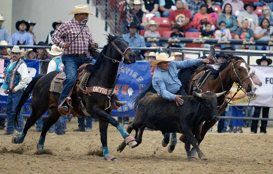 NNRA to move forward with 2020 season