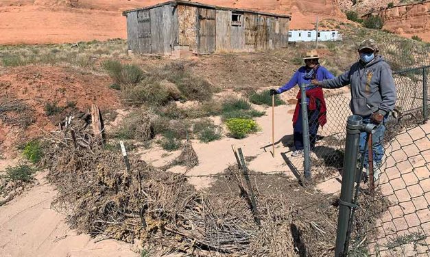 Brush dams save home from flood, pile up soil