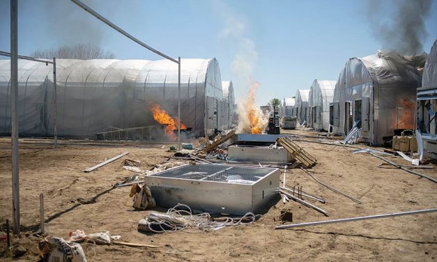Hemp hoop house nearly destroyed by fire