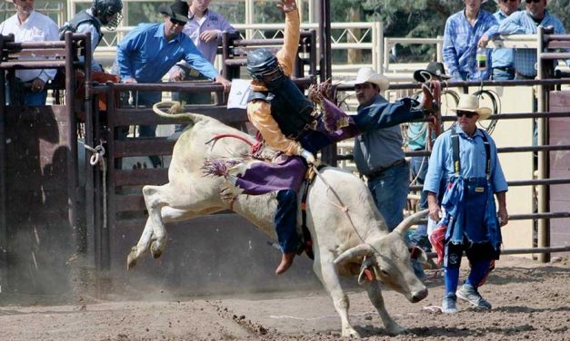 ‘Making every run count’:  Moreno captures bull-riding title at high school season opener