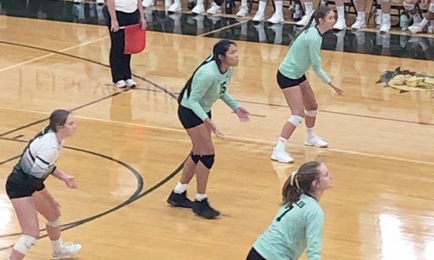 Nez not happy with play, but helps Flagstaff win