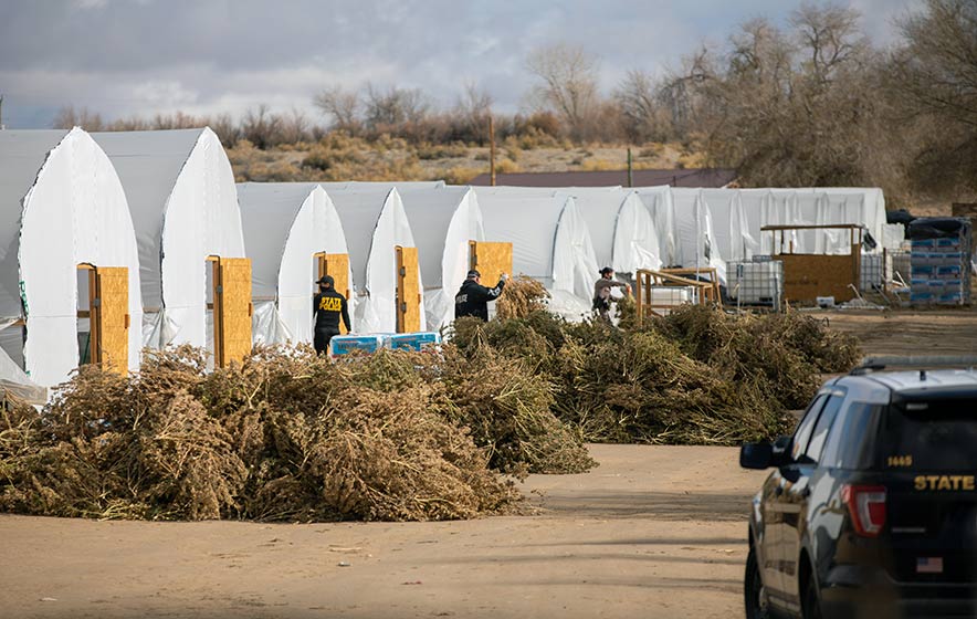 Coalition of officers raids Benally’s hemp farms