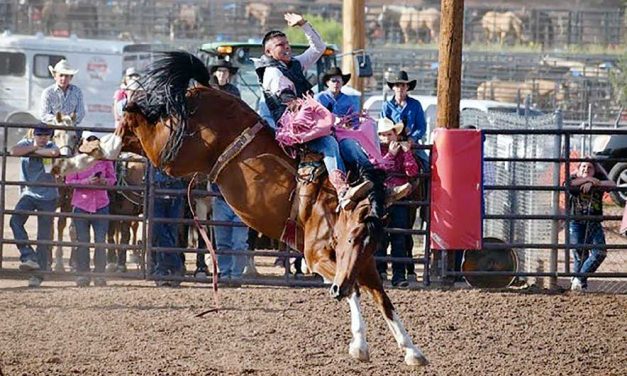 Bareback rider continues family tradition