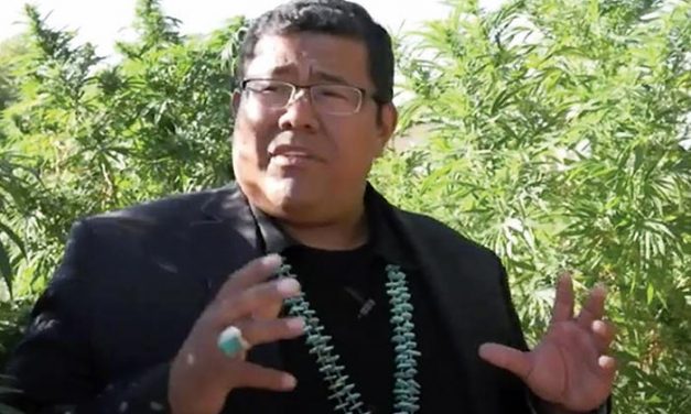 2020 in Review: Cannabis farmer still free after major bust