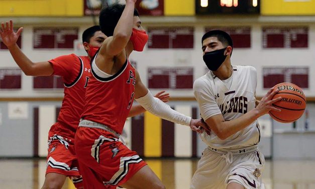 Bulldogs overcome barrage of threes against Page