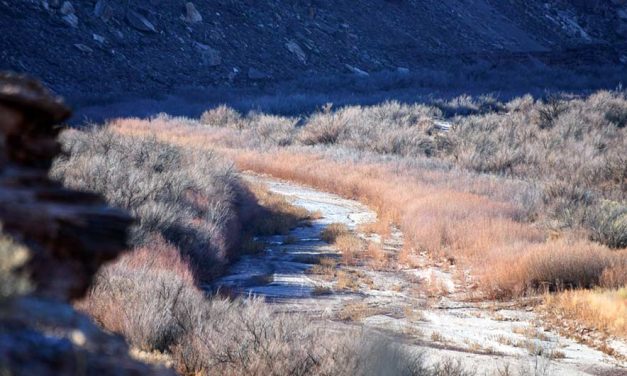 ‘This is our water’:  Little Colorado River chapters discuss forming association