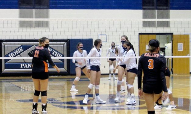 PV practically flawless in match with Gallup