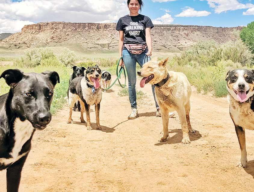 Animal control session urges responsible pet ownership