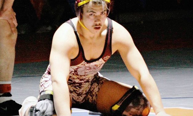 9 area wrestlers medal at state
