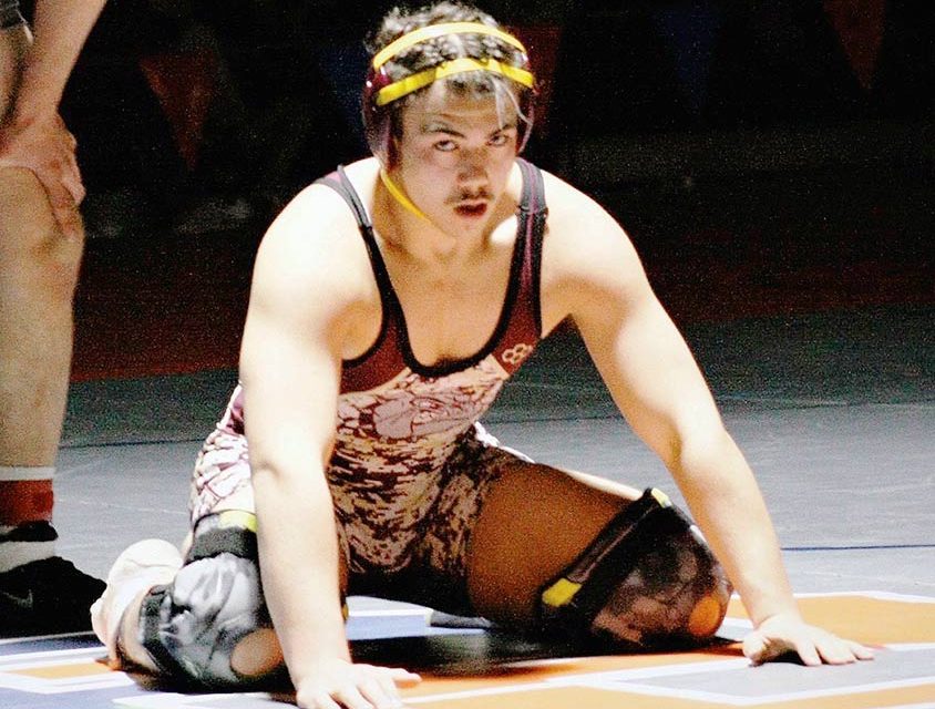 9 area wrestlers medal at state