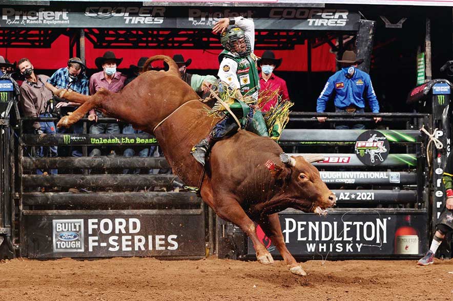 Life looking rich for Rogers, Whitehorse