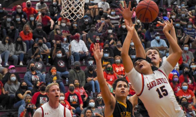 Page plays for state title, Coconino loses in semifinal