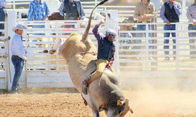 College rodeo finals are back; locals have big dreams