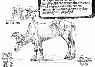 Emaciated cow with tons of different brand marks on it staggers. Auction guys say it the cause of outdated tribal livestock management and the pandemic.