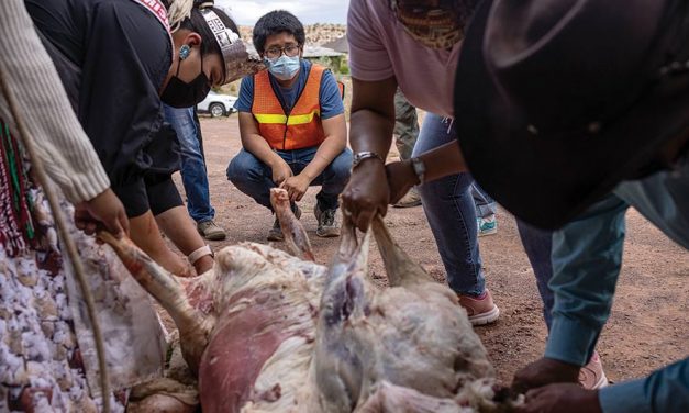 Miss Navajo adds butchering to her resume
