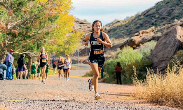 Rez teams fare well at sectionals, looking to place at state