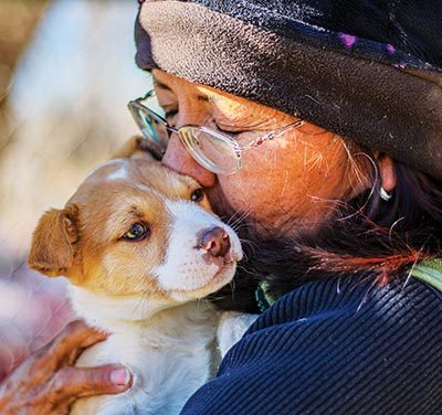 Finding ‘forever homes’: Nonprofit Turquoise Paw rescues dogs, pups