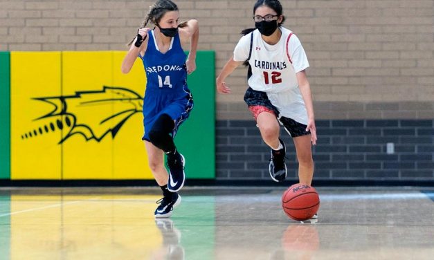 Cardinals take win over Fredonia
